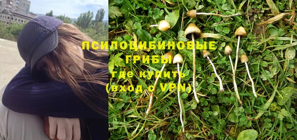 амф Верея