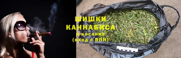 амф Верея