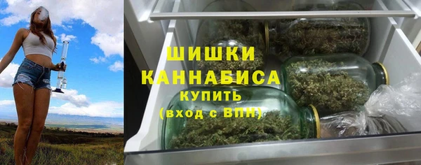 амф Верея